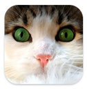 CiCH Icon.jpg