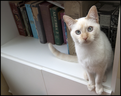 Coco with the Books.jpg