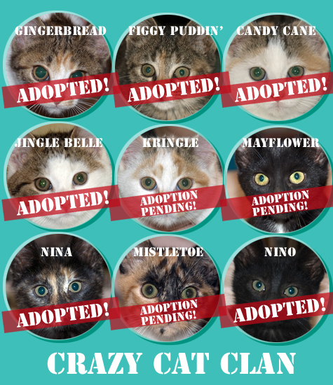 Crazy Clan Adopted2.jpg