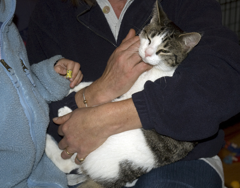 Cuddle with Will.jpg