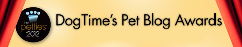 DOG TIME.jpg