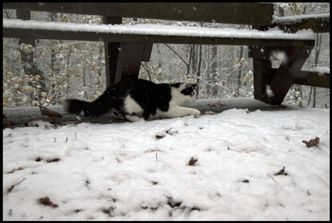 DOOD and the Snow.jpg
