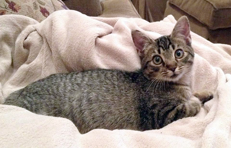 Dexter growing bigger.jpg