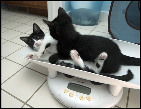 Do Not Disturb.jpg