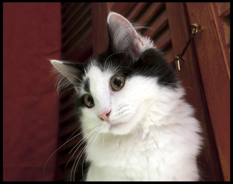 Dood Portrait.jpg