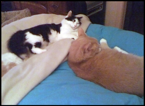 Dood and nicky.jpg