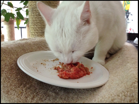 Eating Raw copy.jpg