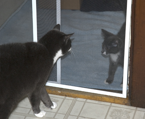 Face to Face.jpg