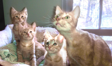 Family copy.jpg