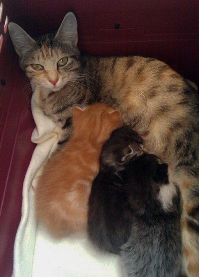 Feeding Time copy.jpg