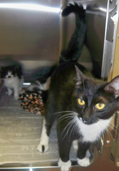 First Blk-white mama.jpg