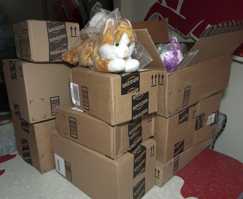 First Boxes Arrive.jpg