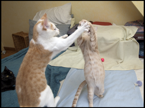 Fred and Tater Dance.jpg