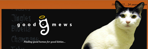 Good mews.jpg