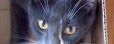 Guess Who.jpg