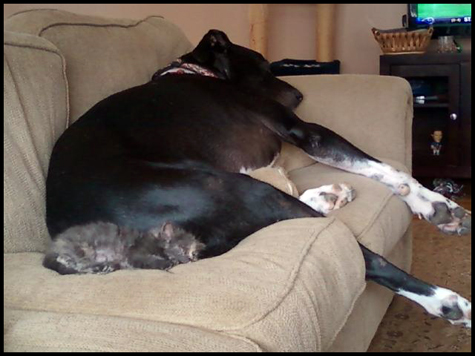 Hanna and Pup.jpg