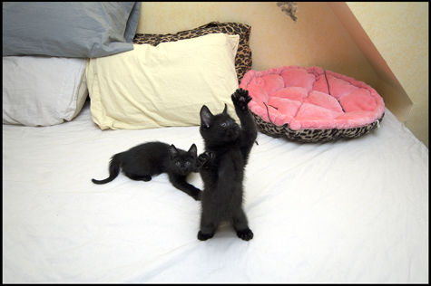 High Five.jpg