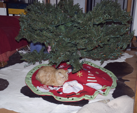 Holiday Bob_sm.jpg