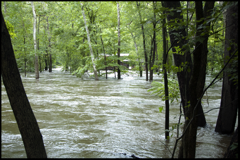 House in River.jpg