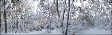 House in the Snow Pano med_crop.jpg