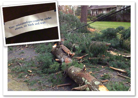 Hurricane Sandy R Olson.jpg