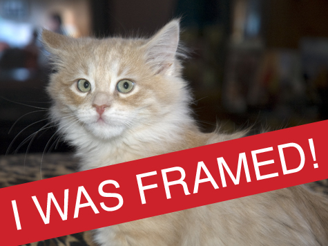 I Still Gots Snots_framed copy.jpg
