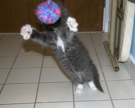 I love you this much.jpg