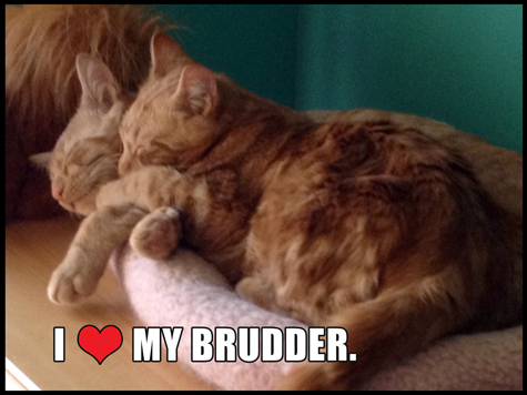 I wuv my brudder LR.jpg
