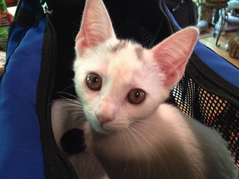 IMG_4844.JPG IMG 4844