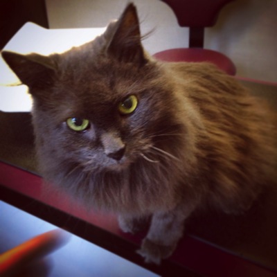 IMG_4916.JPG IMG 4916