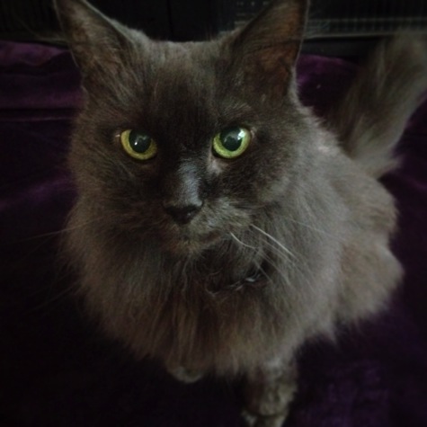 IMG_4997.JPG IMG 4997