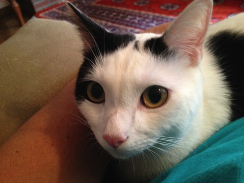 IMG_4998.JPG IMG 4998