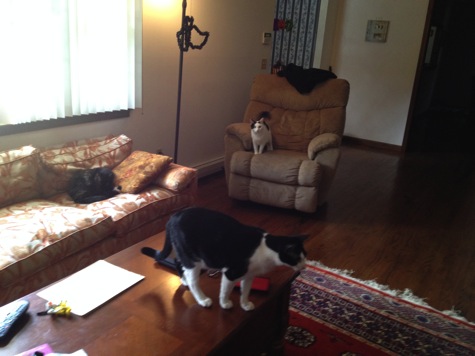 IMG_4999.JPG IMG 4999