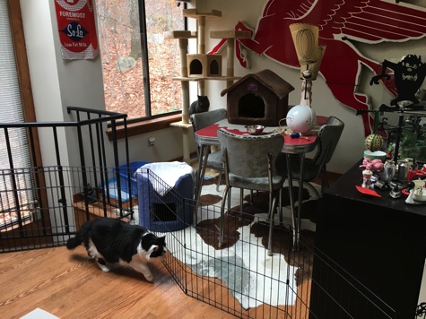 IMG_5407.JPG IMG 5407