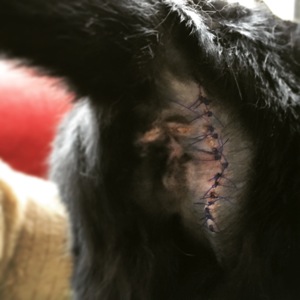 IMG_5422.JPG IMG 5422