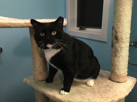 IMG_5558.JPG IMG 5558