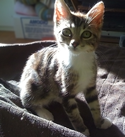In the sun.jpg