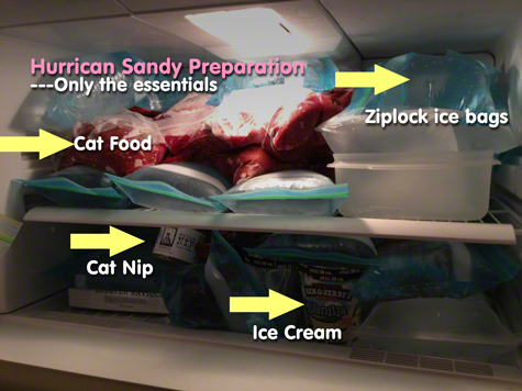 Inside the Fridge copy.jpg