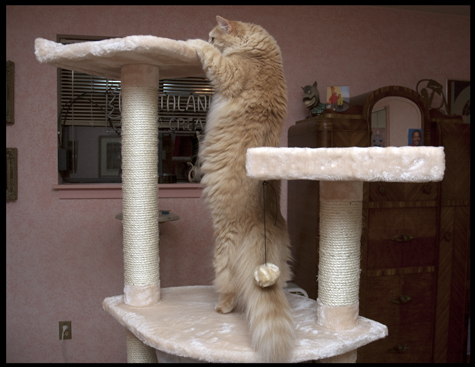 Inspecting the top level.jpg