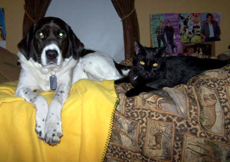 Jack and Kelly copy.jpg