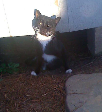 Jack in the sun.jpg
