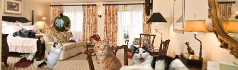Jacking in his room with cats_sm.jpg