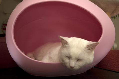 Jackson in the Egg.jpg