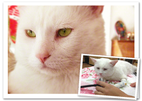 Jacksons heart before and after.jpg