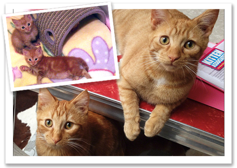 Jakey and Teddy Before and after.jpg