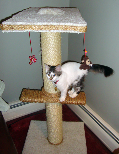 Jasmine-Oct. 2010 008_sm.jpg
