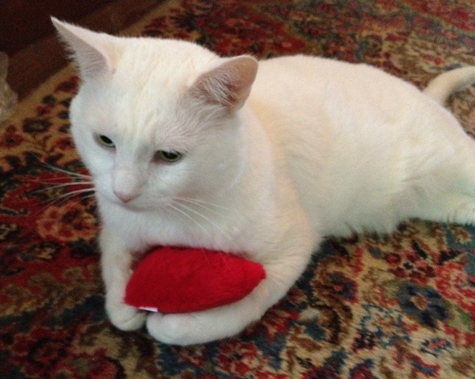 Jax holding his heart.jpg