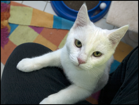 Justing on my leg.jpg