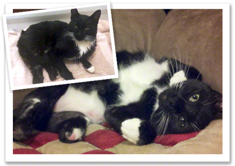 King before and after rescue.jpg