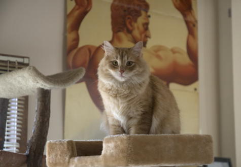 King of the Hill.jpg